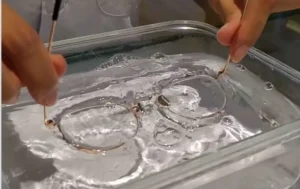 how to clean glasses lenses